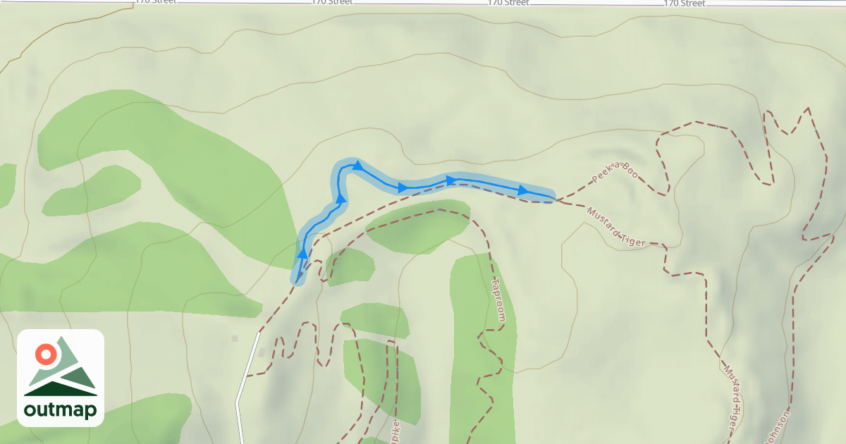 Map of Mustard Tiger