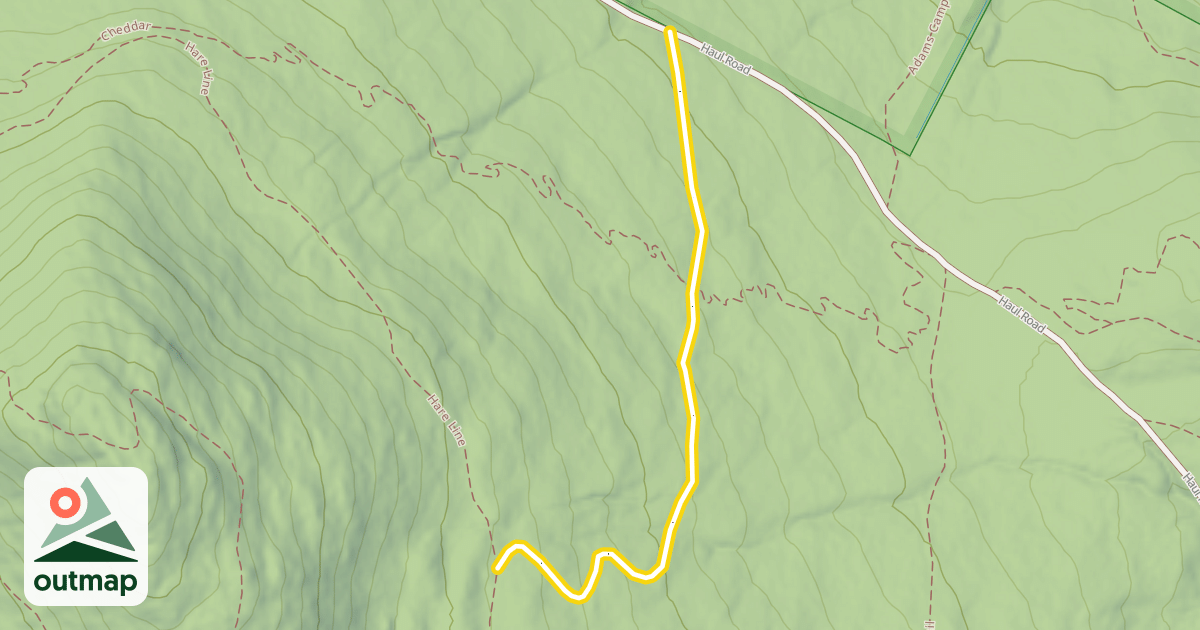 Map of Bobcat Trail