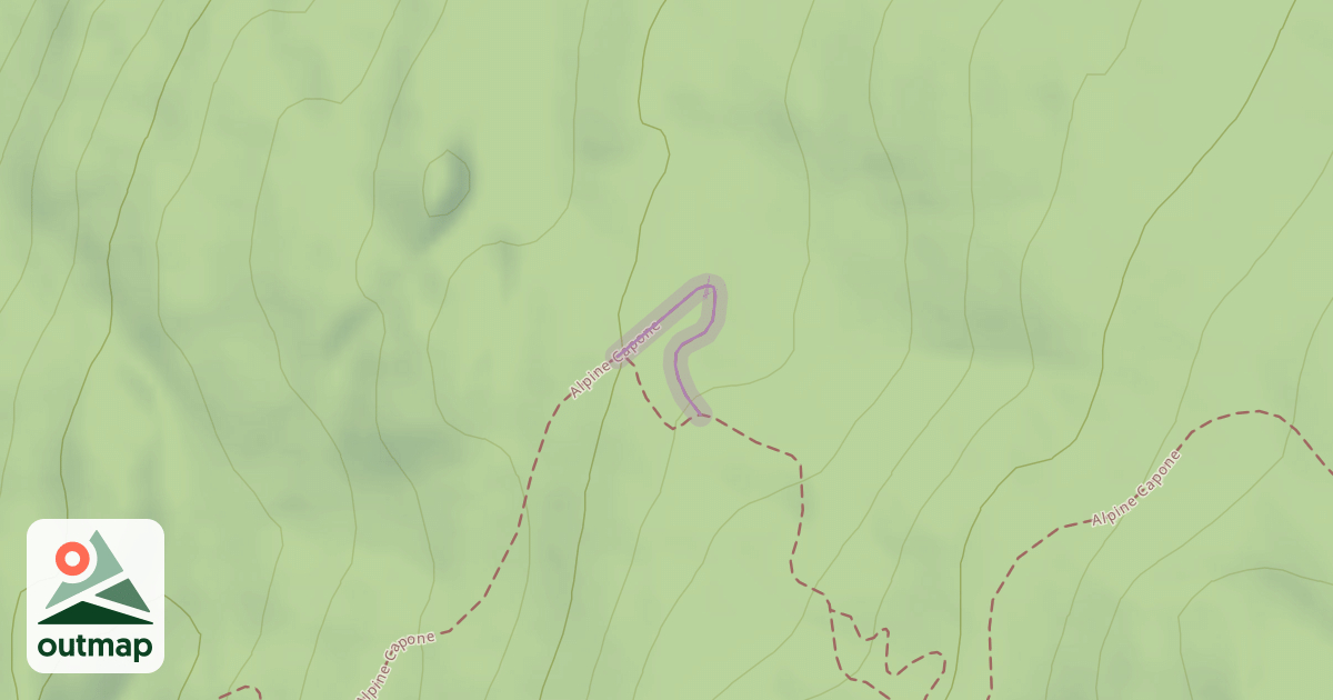 Map of Alpine Capone