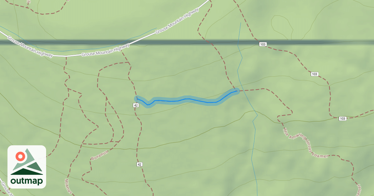 Map of Circus