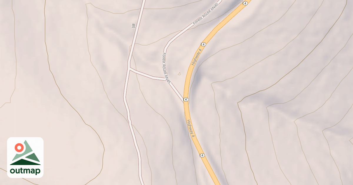 Map of USFS National Forest System Roads {81BF3B94-D808-41D6-BDBF-3C242AC470C9}