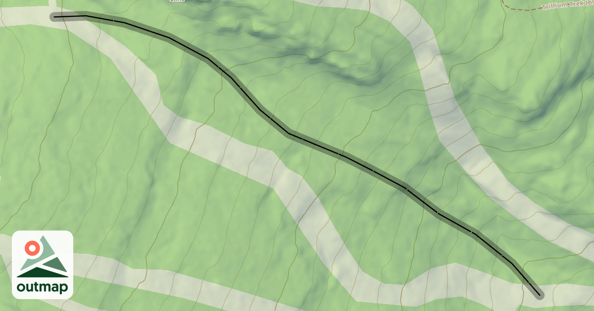 Map of Twister Glades