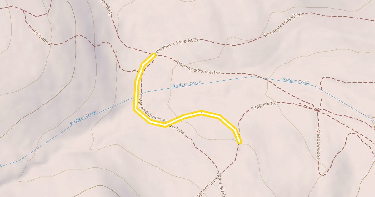 Map preview of Logger's
