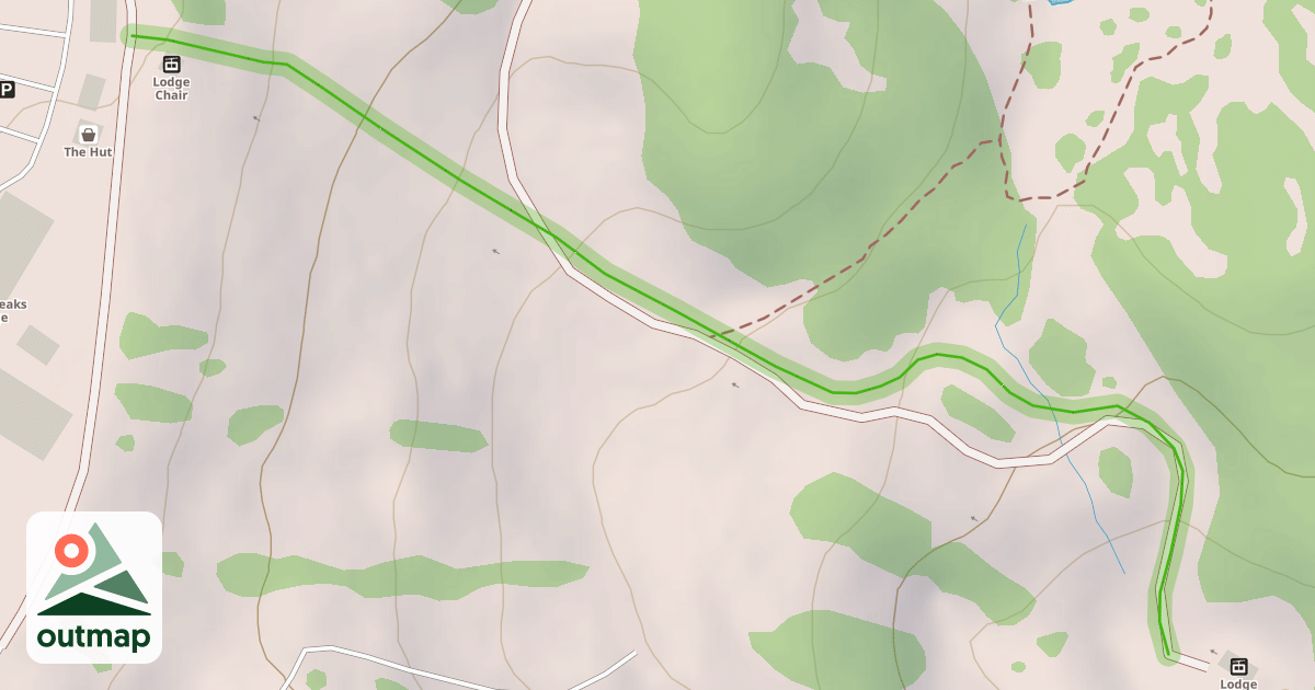 Map of Rookies