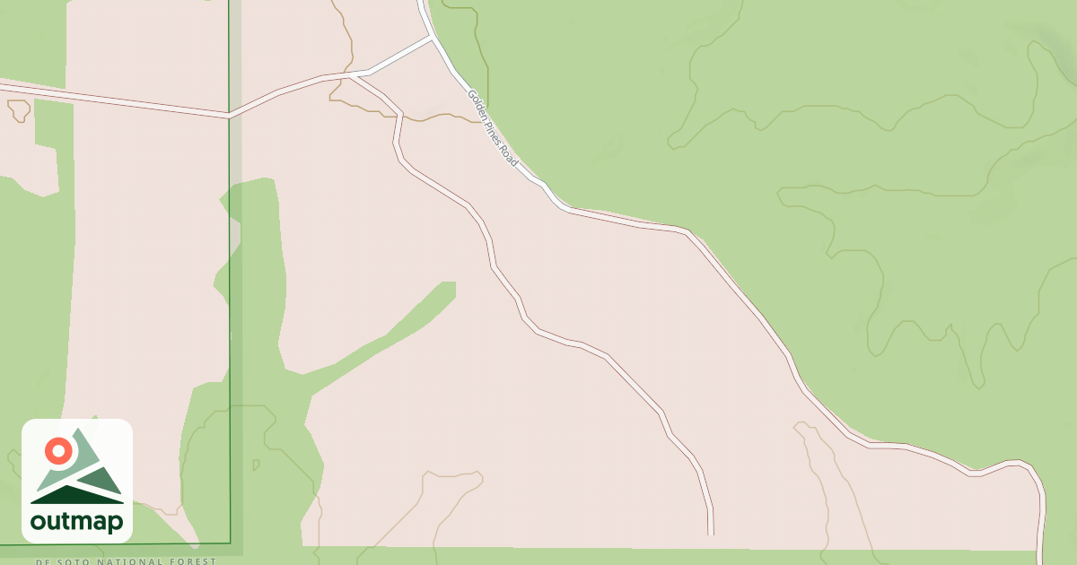 Map of USFS National Forest System Roads {2F22320D-53A4-4D4D-8413-7D169C3B7F70}