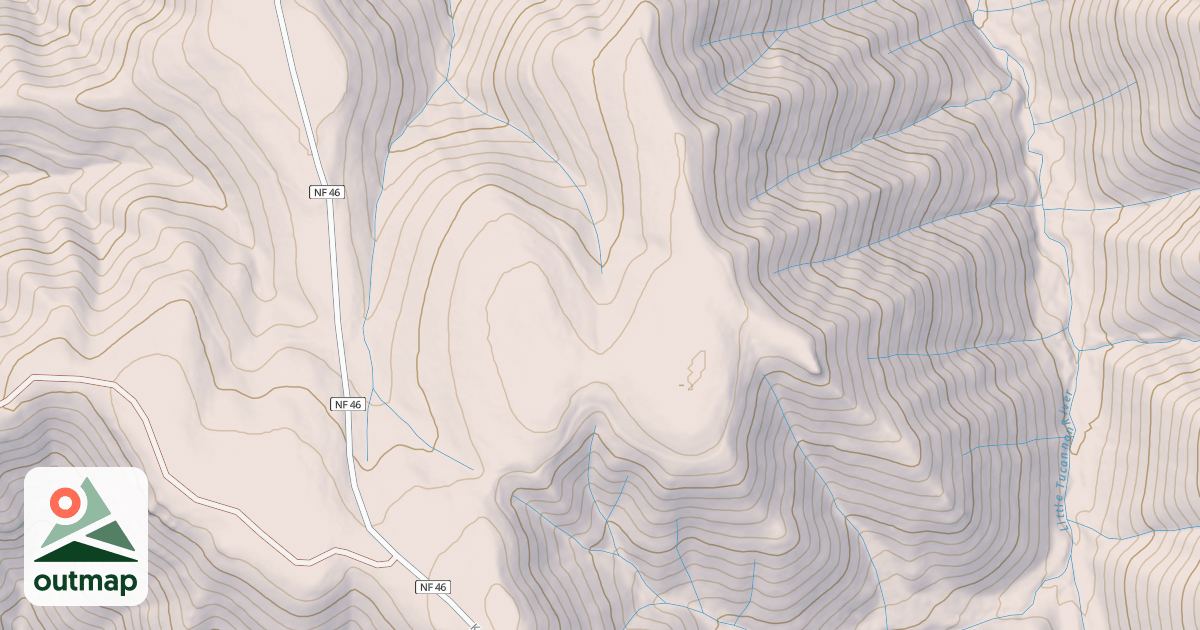 Map of USFS National Forest System Roads {BCBE6D79-8F84-443C-BD8B-E86004E2900A}