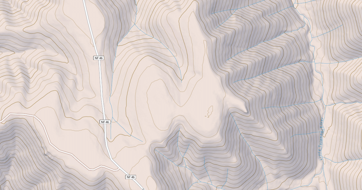 Map preview of USFS National Forest System Roads {BCBE6D79-8F84-443C-BD8B-E86004E2900A}