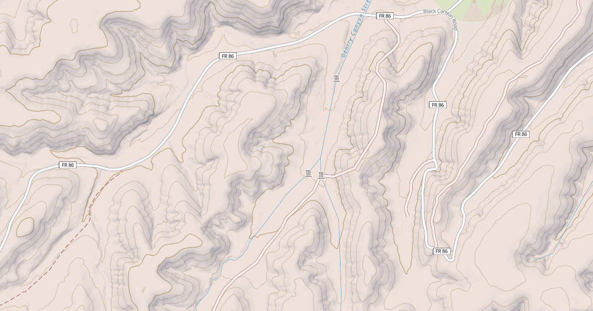 Map preview of USFS National Forest System Roads {377969F8-5906-4BB3-A05E-0F28F6658E3A}