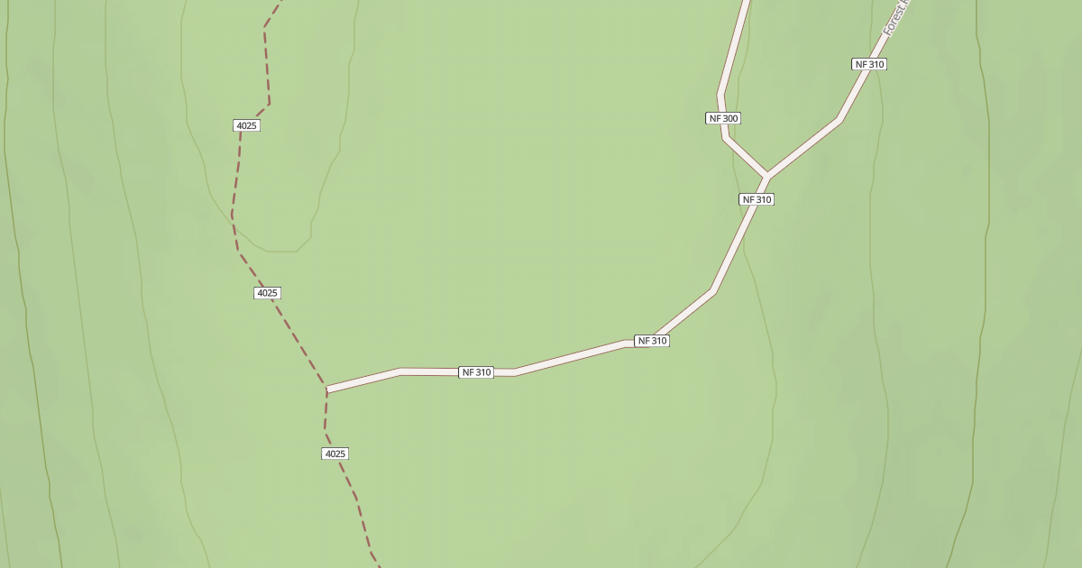 Map preview of USFS Motor Vehicle Use Map Roads {61DCE360-8A74-4106-BA5D-733013703C45}