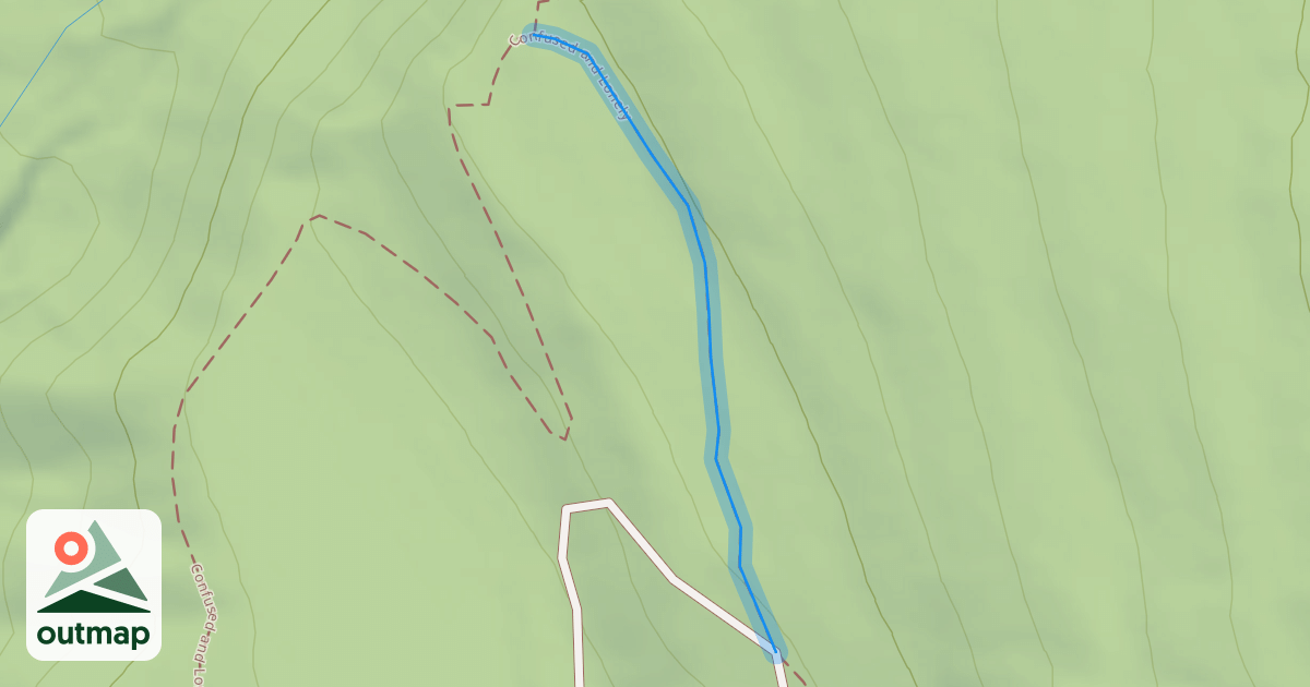Map of Confused and Lonely