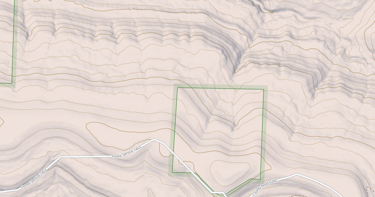 Map preview of USFS Motor Vehicle Use Map Roads {7101D132-39DF-49B6-A614-2178D9DF3997}