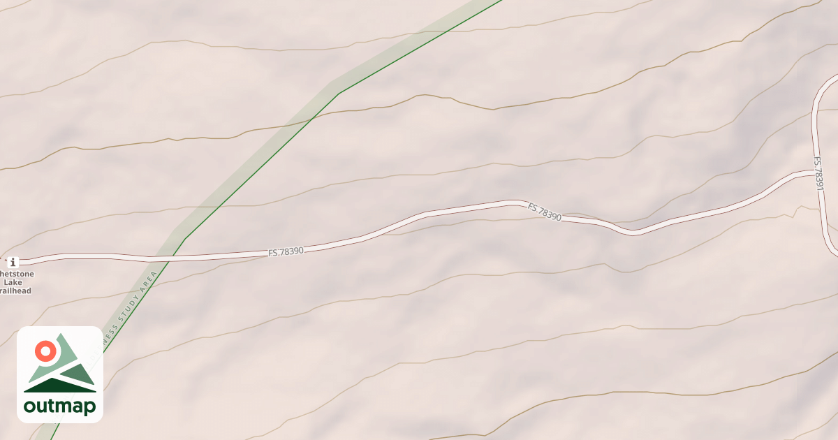 Map of USFS National Forest System Roads {9B0B8438-42FF-43D3-BF55-C09DDEC820C6}