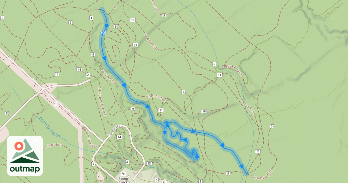 Map of 10 Race pace