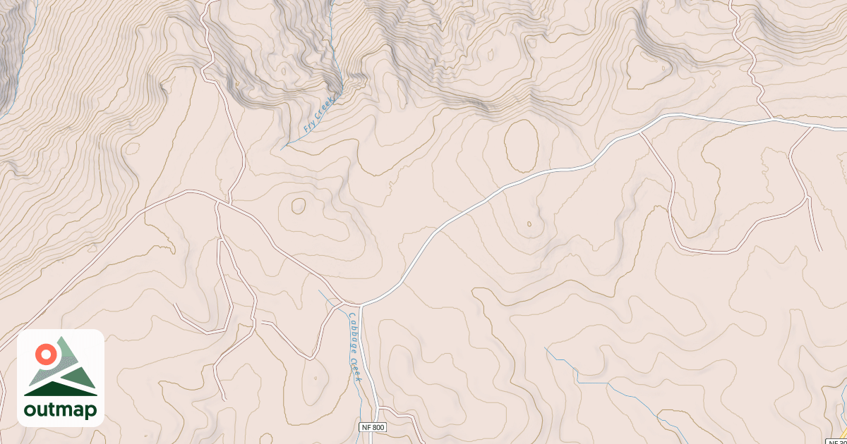 Map of USFS National Forest System Roads {8A9C74CC-7FA6-438E-9479-6C5B2B4A0845}