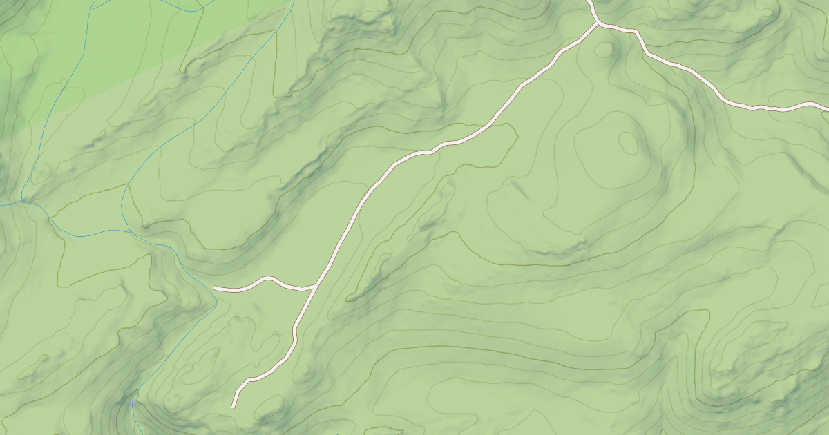 Map preview of USFS Motor Vehicle Use Map Roads {CB86105C-F823-4AA0-A19D-8D082286B181}
