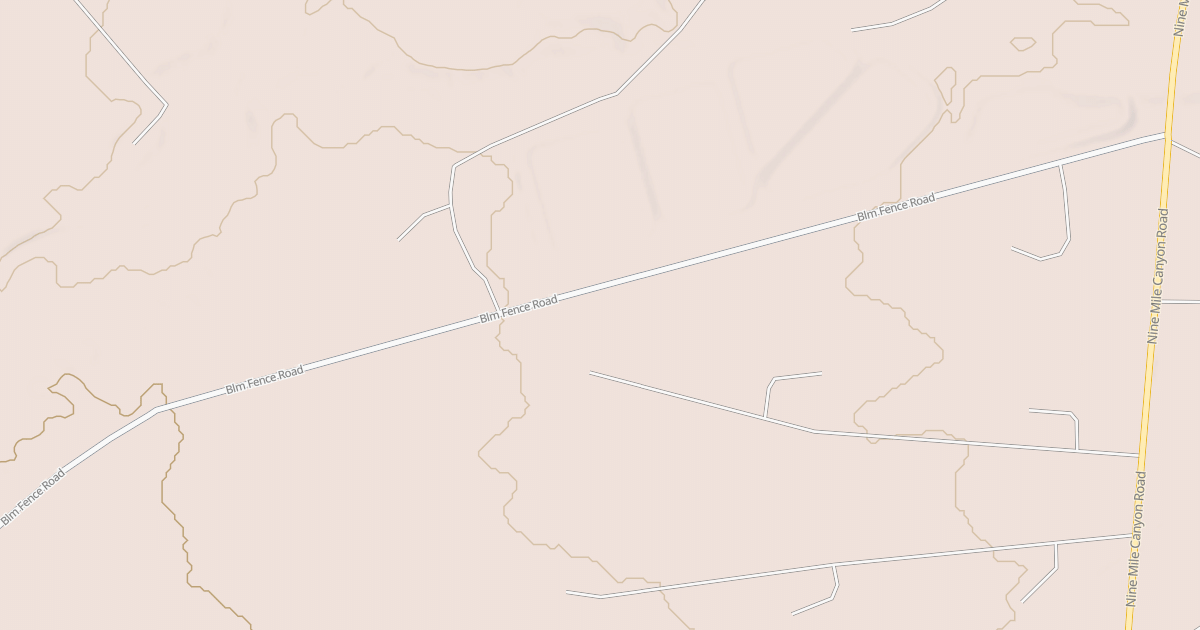 Map preview of BLM National GTLF Public Motorized Roads 537a86ea-d33d-4e96-aa03-6260003bf96f
