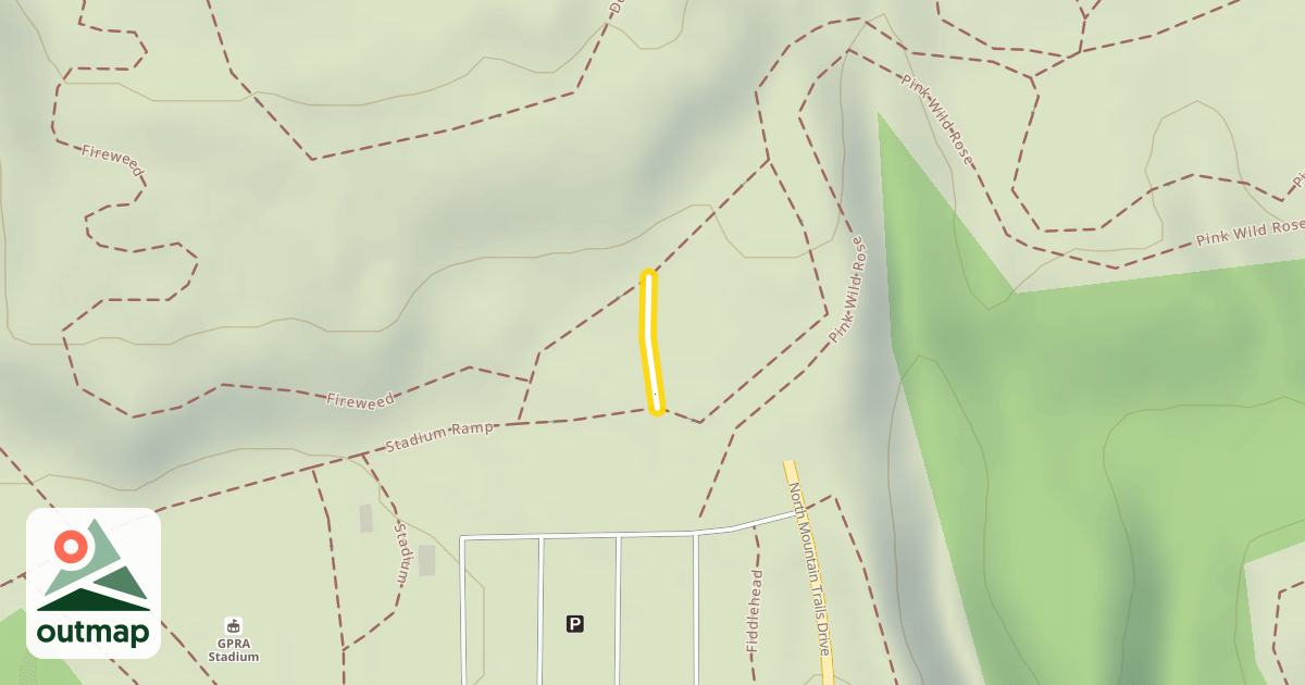Map of Pioneer