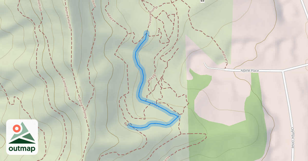 Map of Maze