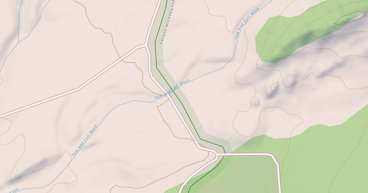 Map preview of BLM National GTLF Public Motorized Roads 185cab81-4ed3-419b-a6eb-26c5160d743b