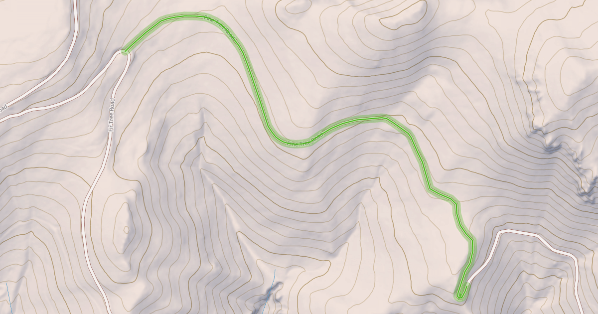 Map preview of Pine Tree Road