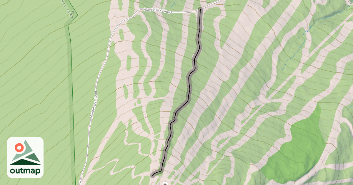Map of Upper Spruce