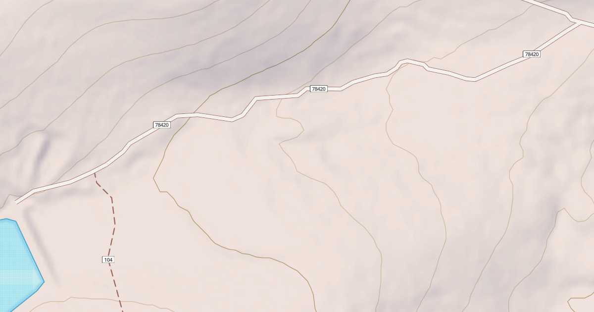 Map preview of PORCUPINE LAKE