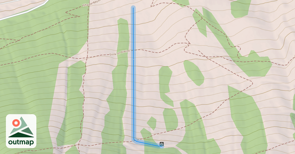 Map of Cougar