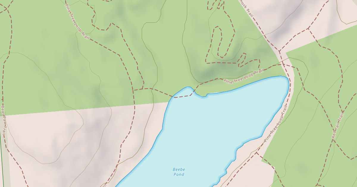 Map preview of Pine Tree Loop