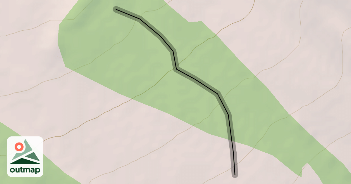Map of Snake