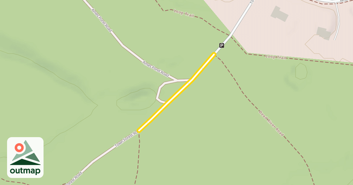 Map of Town Forest Road