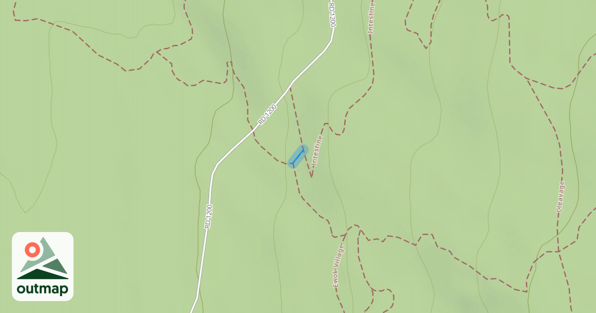 Map of Intestine Connector