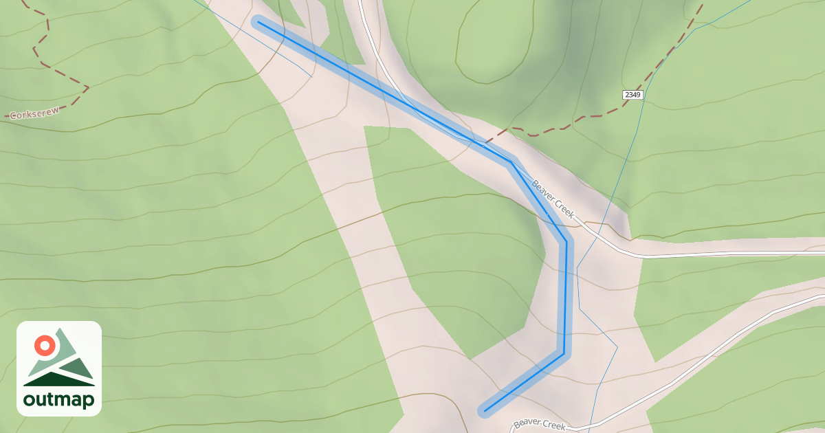 Map of Gold Rush