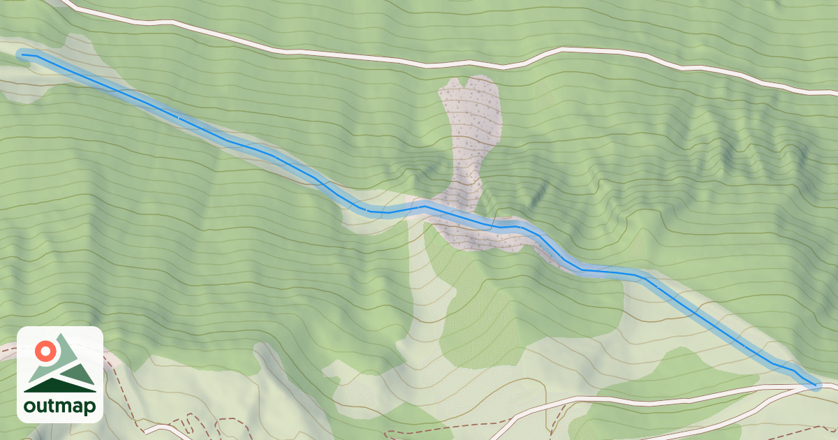 Map of Forêt
