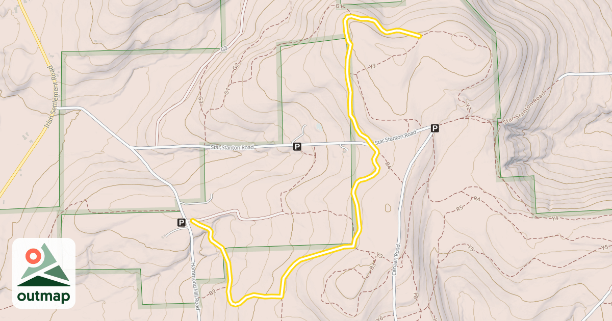 Map of Y1
