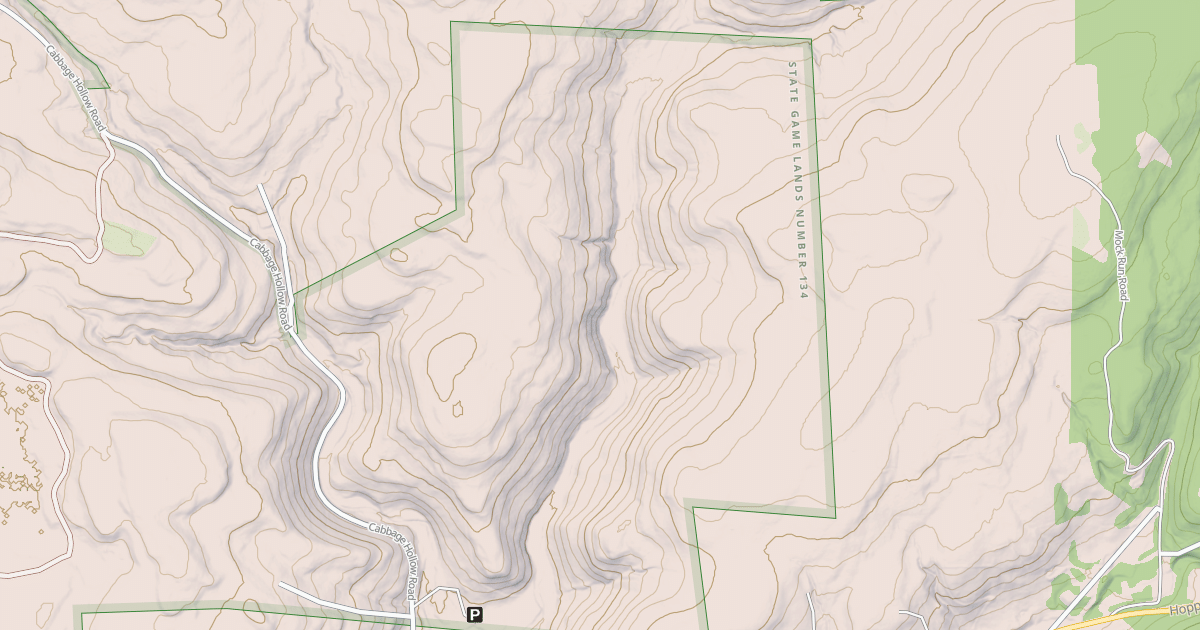 Map preview of Noon Branch Trail