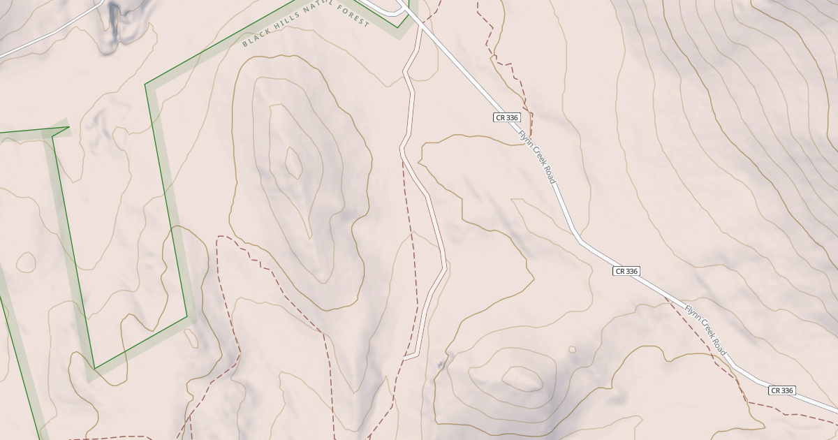 Map preview of FLYNN CREEK BR 1O