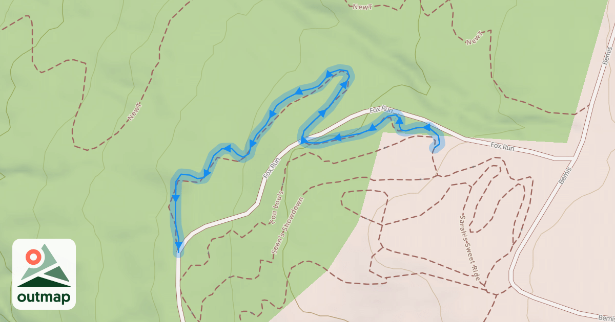 Map of Pete's Dragon