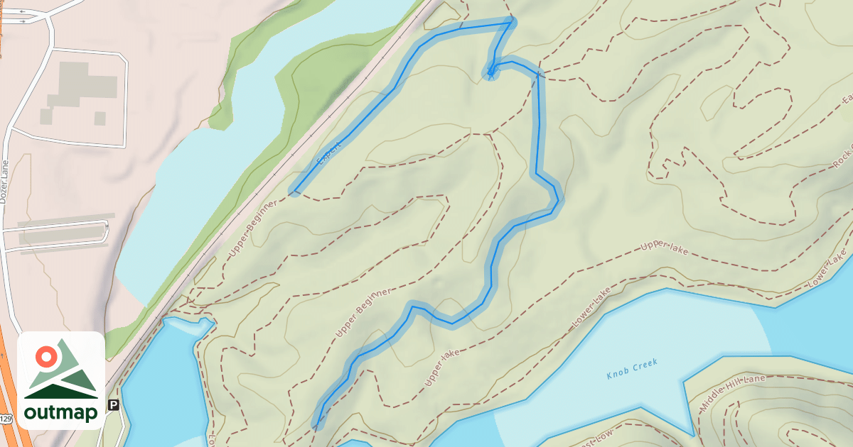 Map of Expert