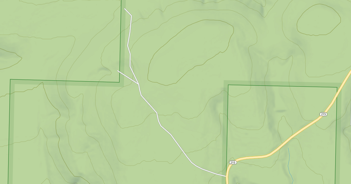 Map preview of USFS Motor Vehicle Use Map Roads {FC4E9296-6C39-4CFB-B1D6-447CEFCE89D8}
