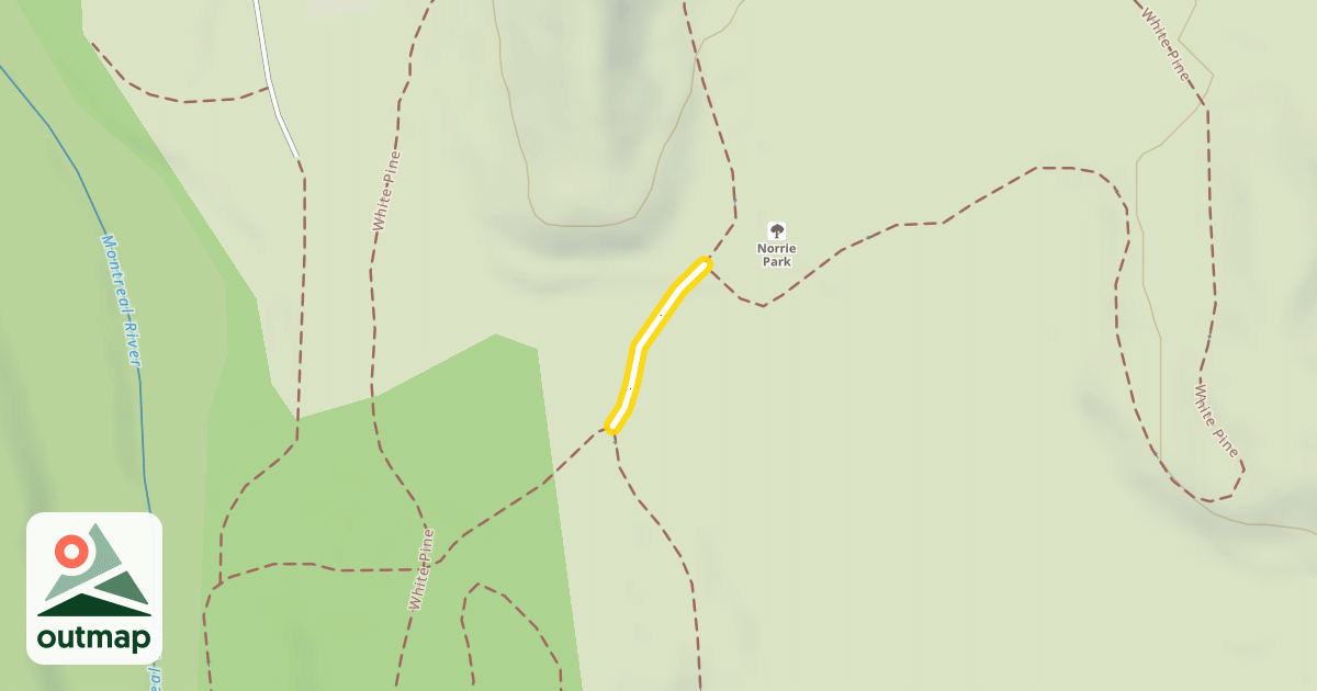 Map of White Pine