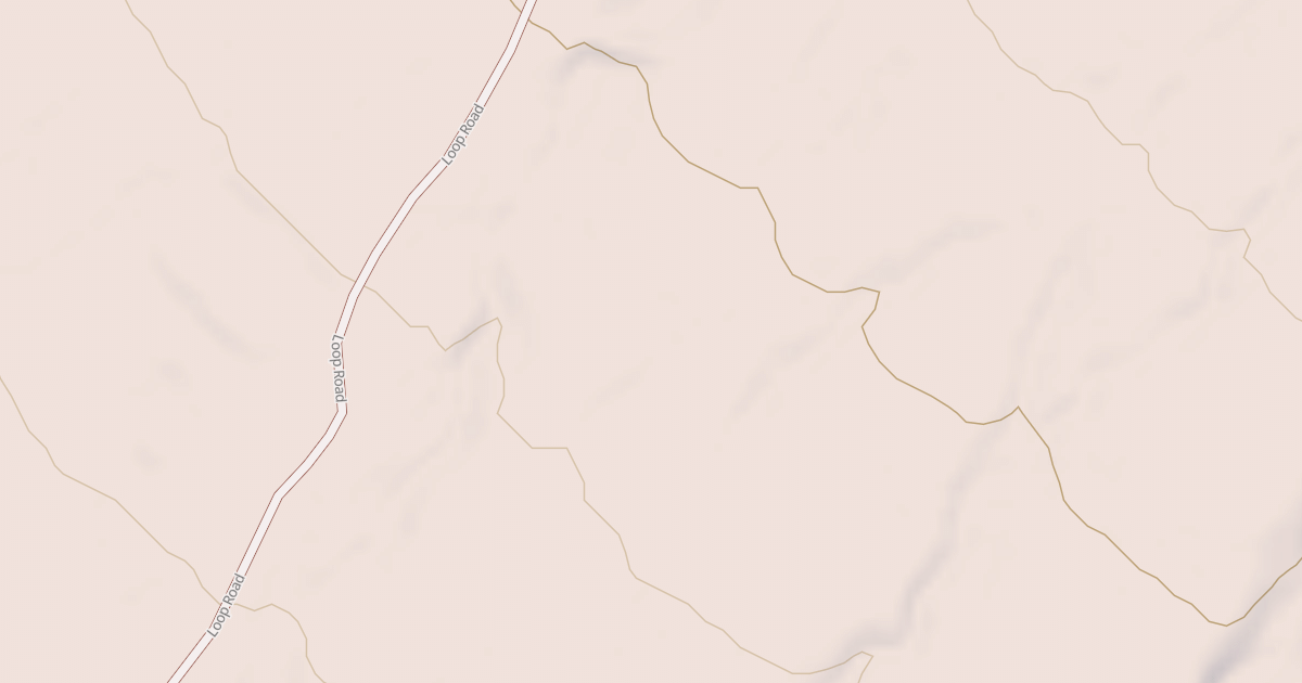 Map preview of BLM National GTLF Public Motorized Roads 115b87c5-ce02-4cee-bbfb-8c6540a6dcb6