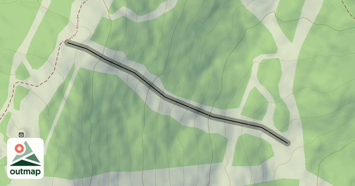 Map of Lies