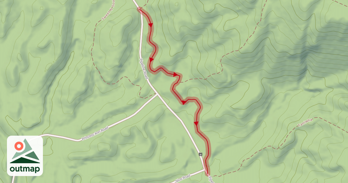 Map of Bunny Jugs