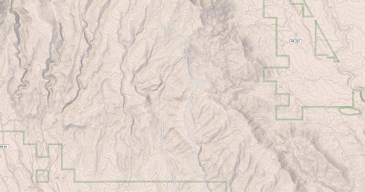 Map preview of USFS Motor Vehicle Use Map Roads {FEBAD9BF-9326-4A81-9B6A-C400DEA6EDC8}