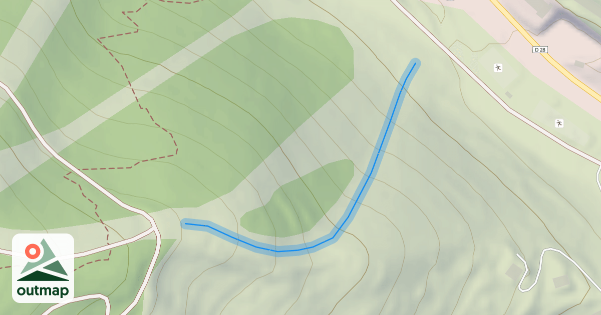Map of X-Campanules