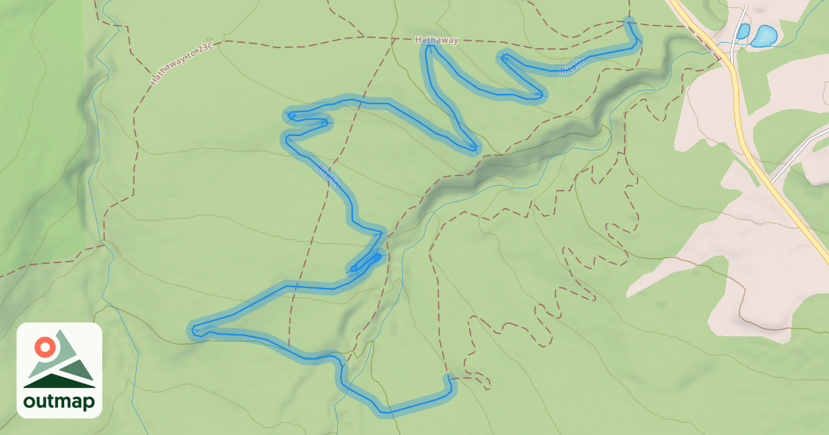 Map of Ritalin