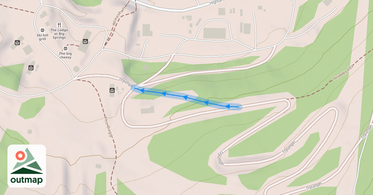 Map of The Woods
