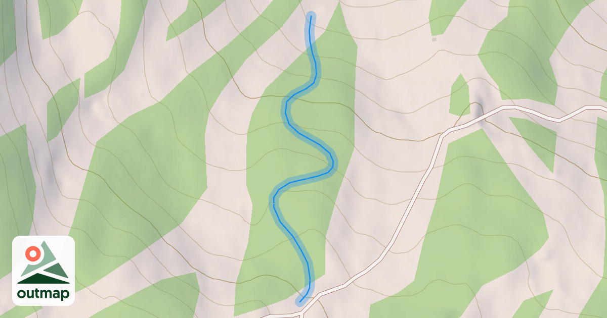 Map of Enchanted Forest Adventure Zone
