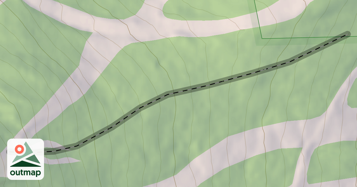 Map of Vertigo
