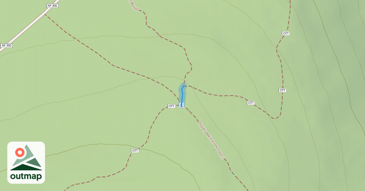 Map of Tiddly Winks